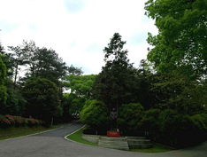 1501045835(1).png 1501045835(1).png