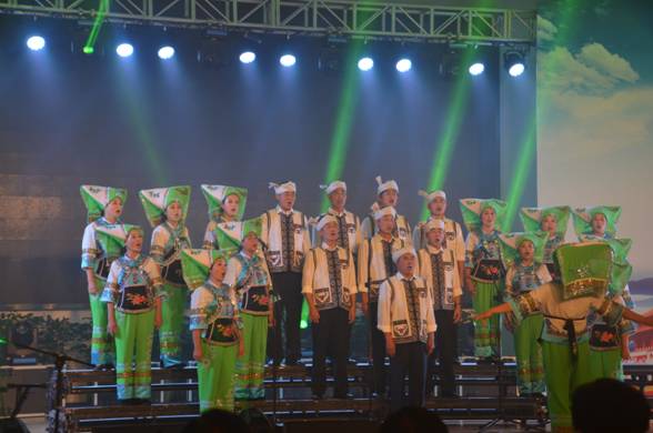 图为演出现场.jpg 图为演出现场.jpg