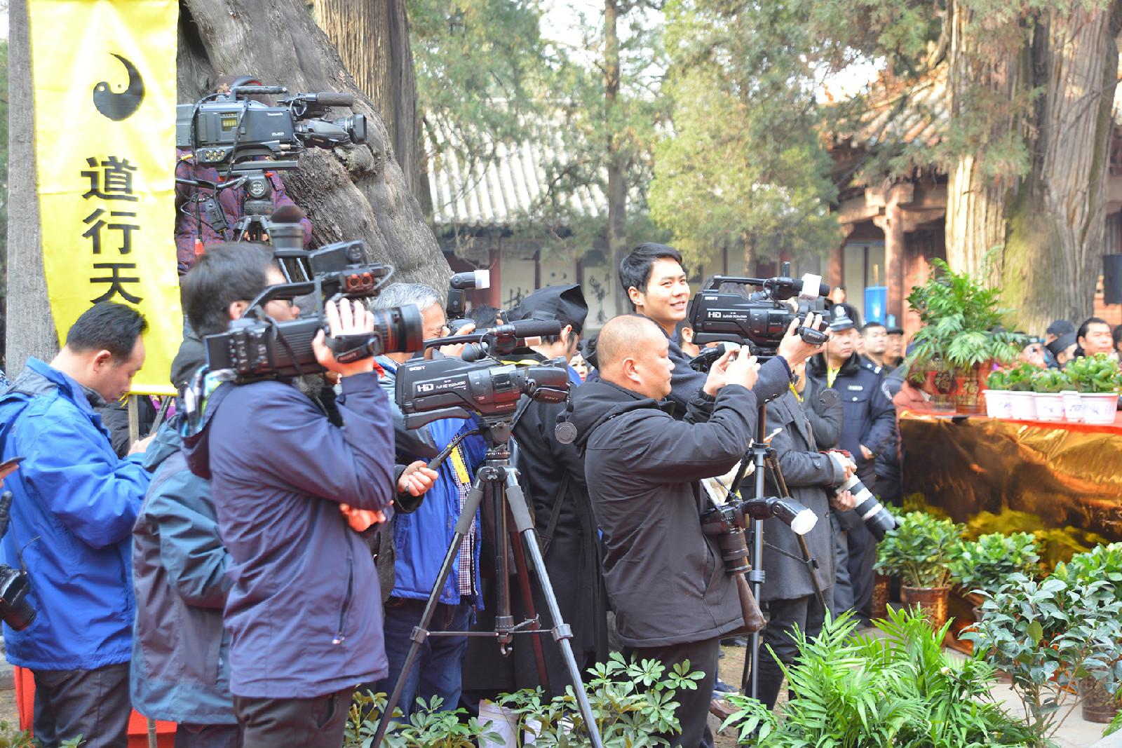 DSC_3765.jpg DSC_3765.jpg