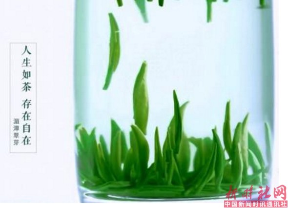 1520649542755607.png b6.png