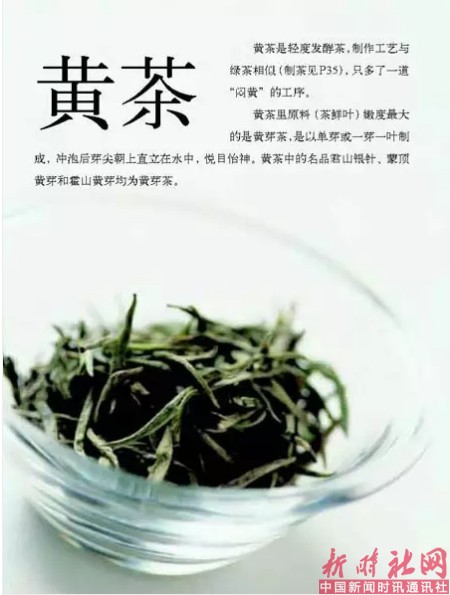 1520299034424462.png b7.png