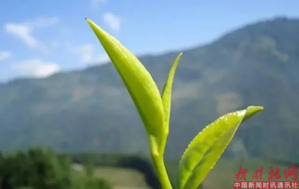 1520560571570811.png b3.png