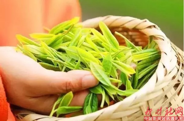 1520560481663764.png b1.png