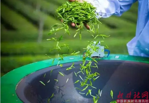 1520560594112074.png b4.png