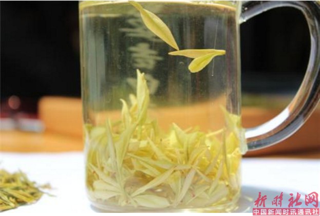 1520127716320340.png b4.png