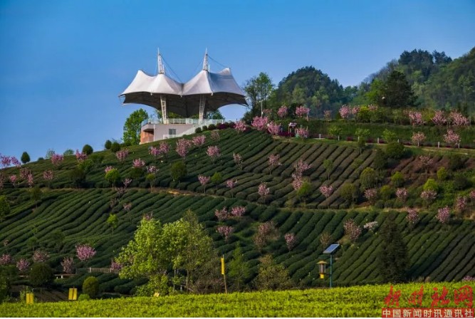 1523601852512698.png c3.png