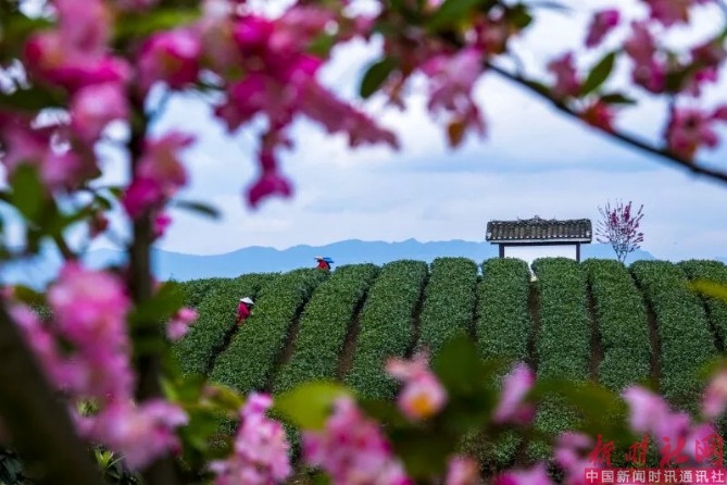 1523601839929453.png c2.png