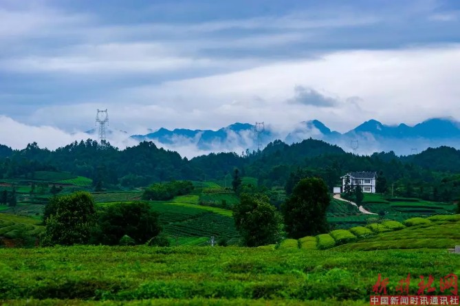 1523602061367530.png c15.png