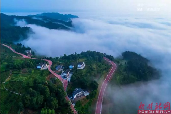 1523602014285828.png c11.png