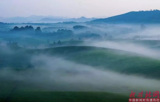 1523602072509201.png c16.png