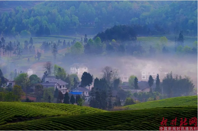 1523601897341516.png c7.png