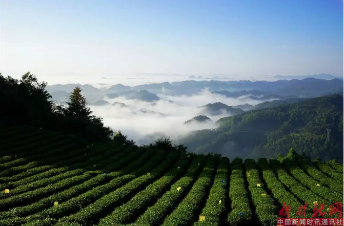 1523602040141392.png c13.png