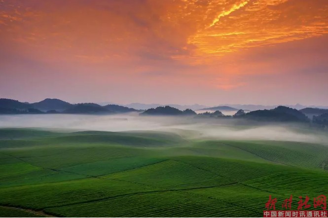 1523601875429614.png c5.png