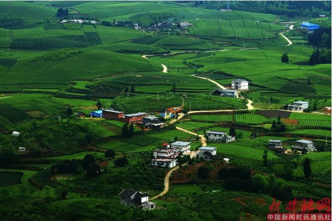 1523601886219478.png c6.png