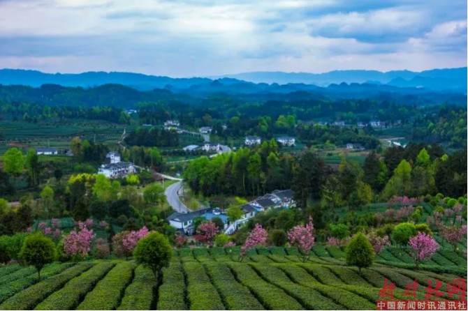 1523601863700106.png c4.png