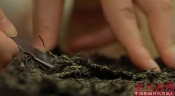 1523232457995386.png a4.png