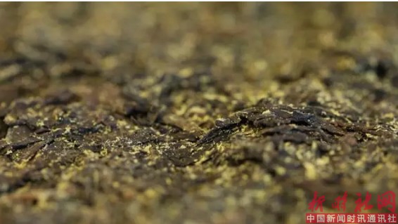 1523232417192017.png a1.png