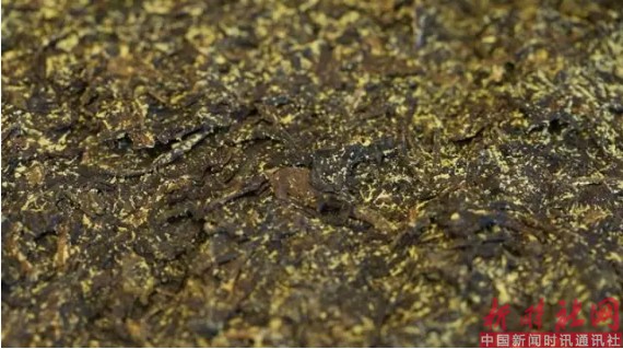 1523232447862506.png a3.png