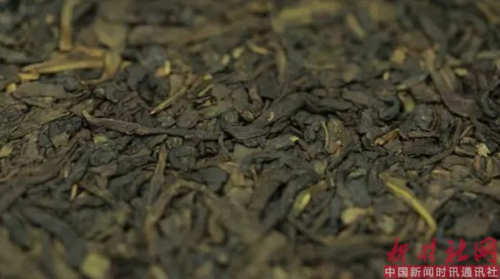 1523232433778896.png a2.png