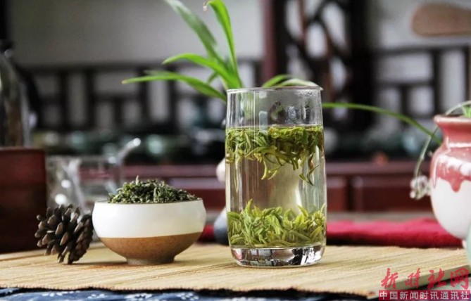 1524974441721397.png b4.png