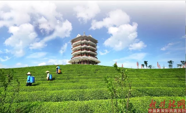 1523926087626433.png c11.png