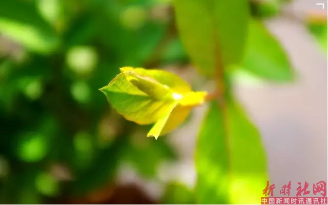 1523406340303725.png b25.png