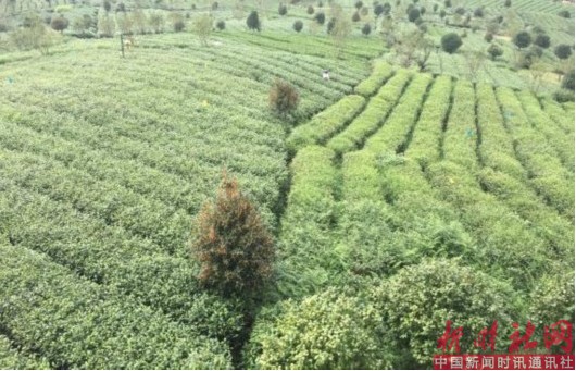 1523430158155102.png d5.png