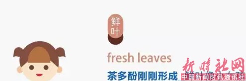 1522973932990312.png b2.png