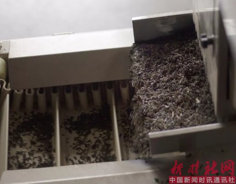 1526092523480474.png c2.png