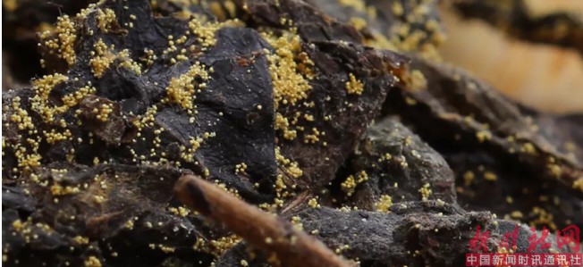 1526092565778373.png c5.png