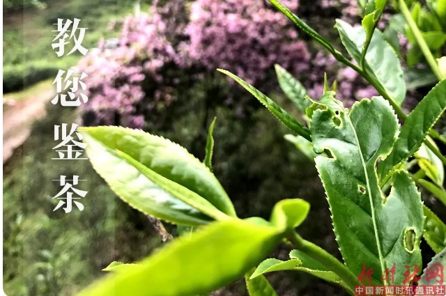 1526517393205826.png b1.png