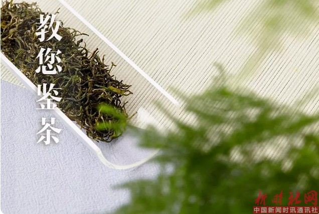 1526603009851534.png b1.png