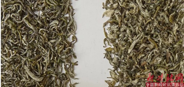 1526603066314929.png b4.png