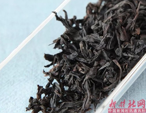 1526603099629939.png b5.png