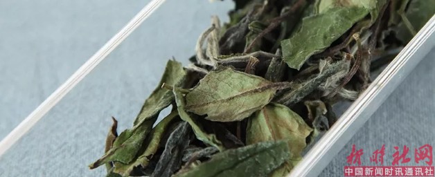 1526603030272802.png b2.png