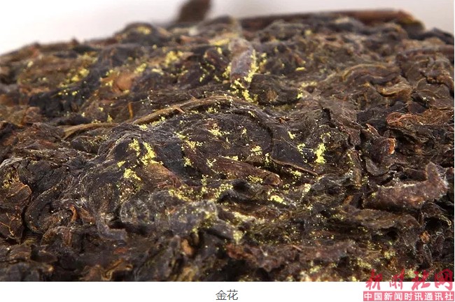 1525219990111936.png a5.png