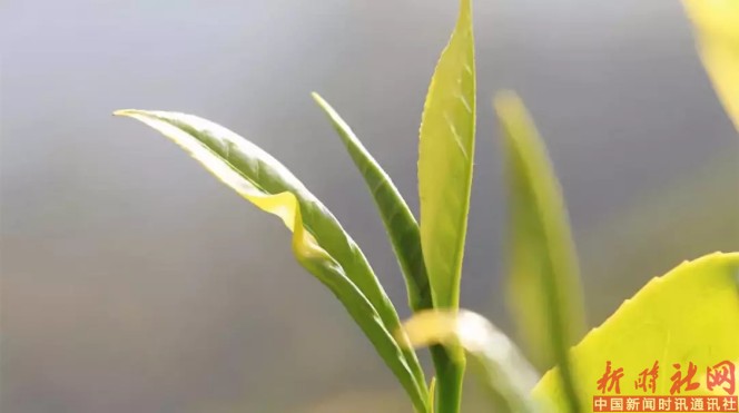 1527294058939163.png b2.png