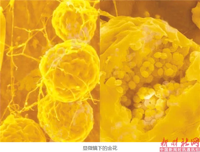 1525220081973674.png a7.png