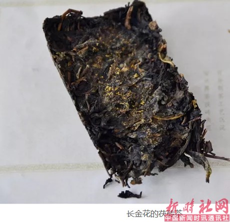 1525219919426306.png a3.png