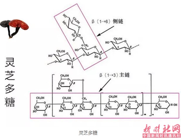 1525219892825366.png a2.png