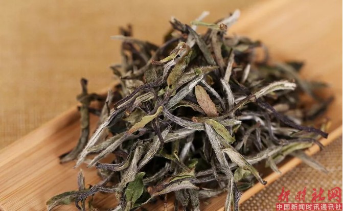 1525397674707987.png b5.png