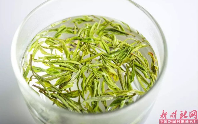 1525397446405890.png b1.png