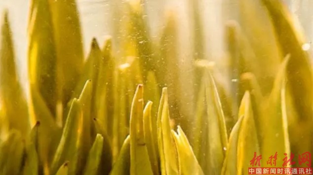 1525826816998041.png b4.png