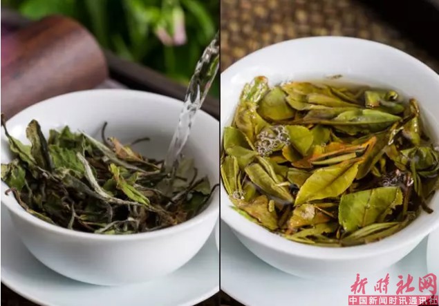 1525826867511469.png b8.png