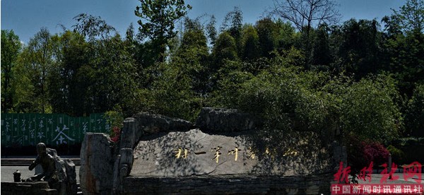 1529308891529766.png a1.png