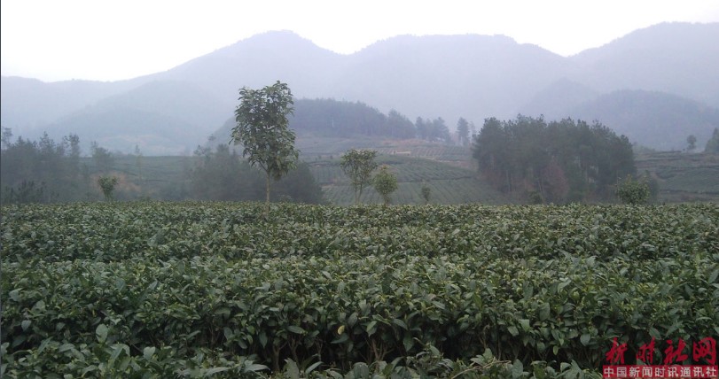 1529308969465459.png a4.png