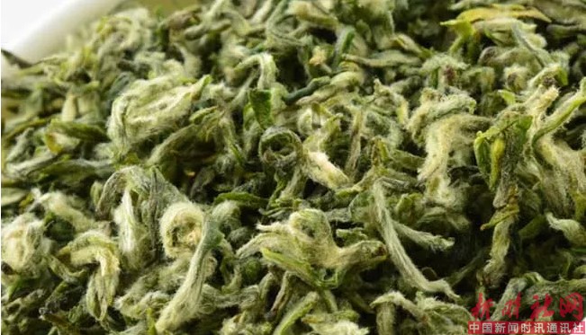 1529801571940926.png b2.png