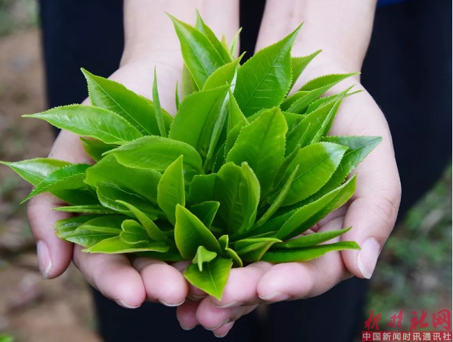 1528977384784103.png d2.png