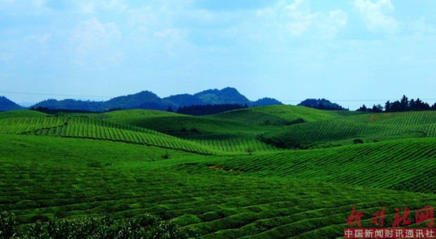 1532630211510245.png b1.png