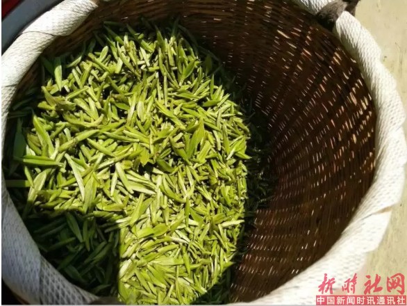 1551932110775901.png c6.png